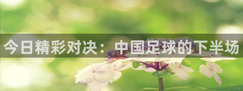 nba857在线直播：今日精彩对决：中国足球的下半场
