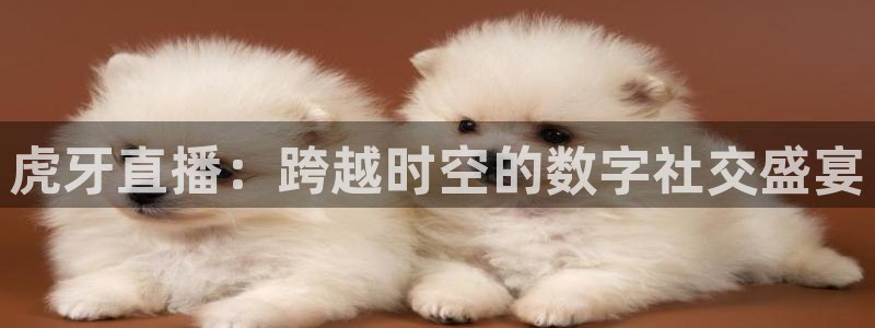 857体育赛事直播app：虎牙直播：跨越时空的数字社交盛宴