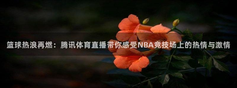 857体育赛事直播吧：篮球热浪再燃：腾讯体育直播带你感受NBA竞技场上的热情与激情