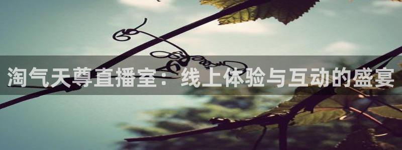 免费857直播体育nba：淘气天尊直播室：线上体验与互动的盛宴