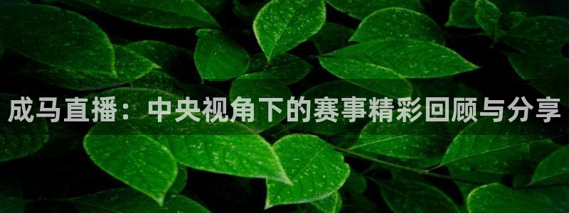 857体育nba免费直播在线直播：成马直播：中央视角下的赛事精彩回顾与分享