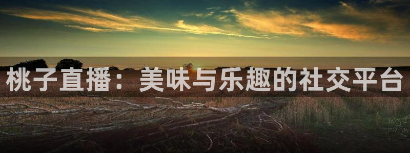 857体育赛事直播雨燕：桃子直播：美味与乐趣的社交平台