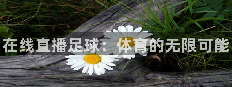 857直播：在线直播足球：体育的无限可能