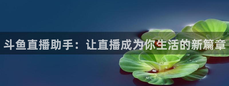 857免费nba在线直播观看