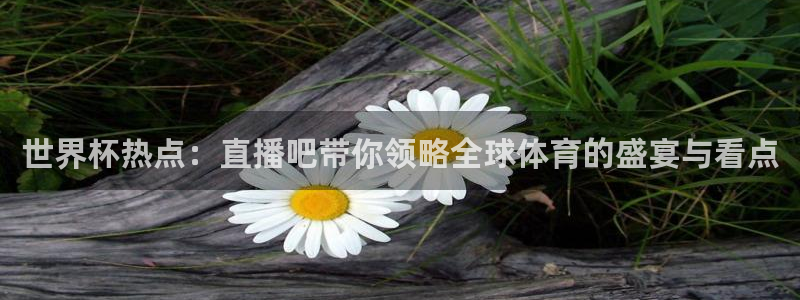 857tv体育免费直播