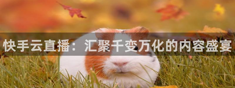 857直播足球免费观看：快手云直播：汇聚千变万化的内容盛宴