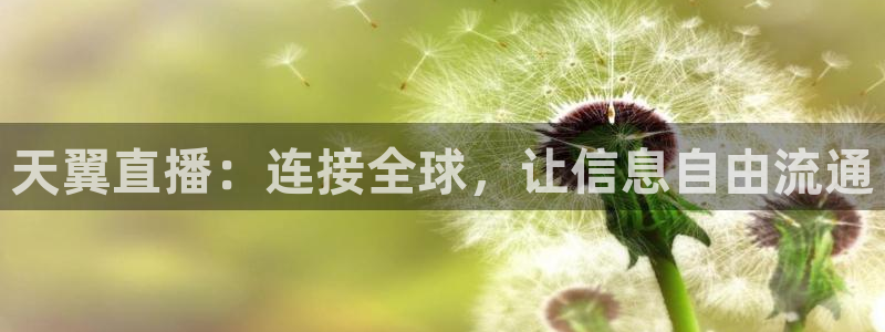 857体育直播间官网：天翼直播：连接全球，让信息自由流通