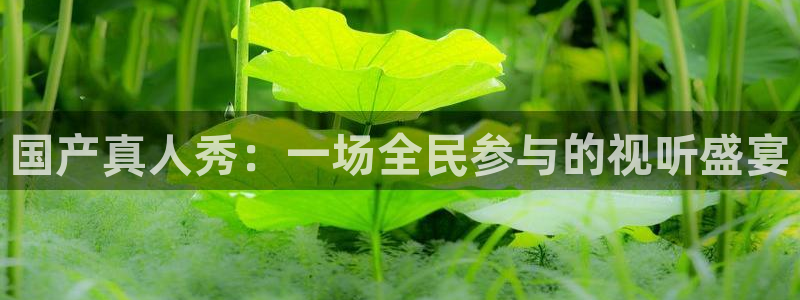 857体育直播平台：国产真人秀：一场全民参与的视听盛宴