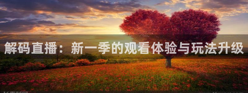 857直播体育免费平台：解码直播：新一季的观看体验与玩法升级